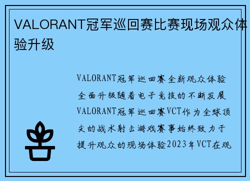 VALORANT冠军巡回赛比赛现场观众体验升级