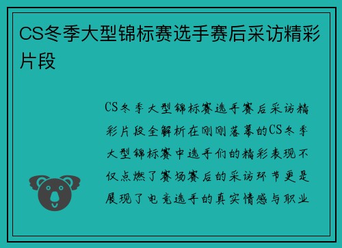 CS冬季大型锦标赛选手赛后采访精彩片段